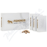 FEMINUS tbl. 60