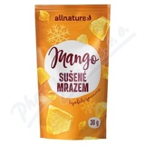 Allnature Mango suen mrazem 30g