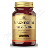 Solgar Hok s Vitamnem B6 tbl. 100